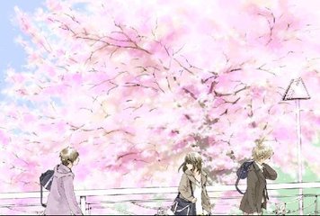 深入了解 星空传媒免费在线视频